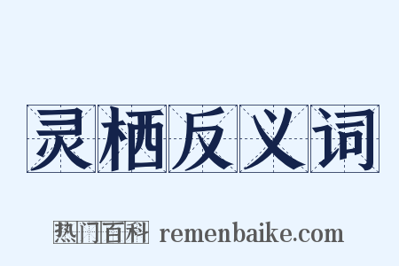 灵栖反义词是什么意思的图片